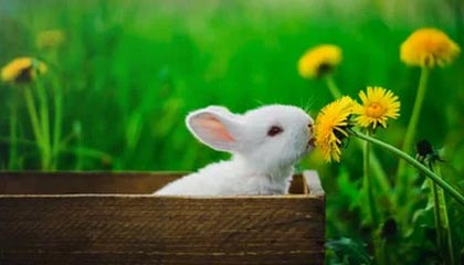 B体育平台_ 中国女足：总结世界杯经验教训，展望未来发展，中国女足世界杯视频